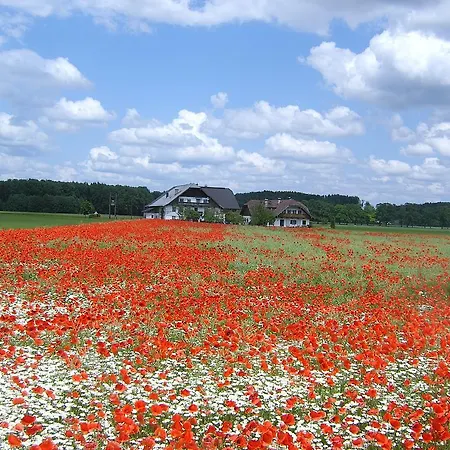 Gallnhof