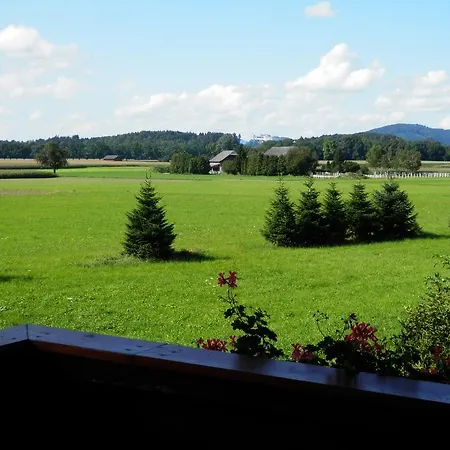 Gallnhof *
